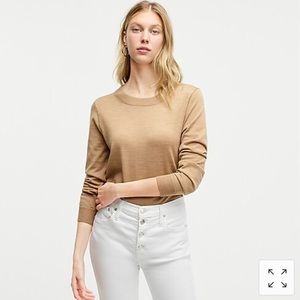 Jcrew Tippi Sweater - Rust